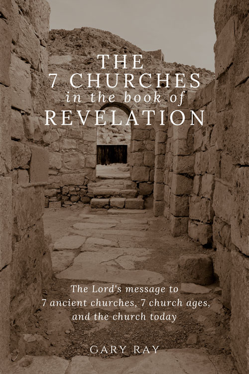 7 churches book